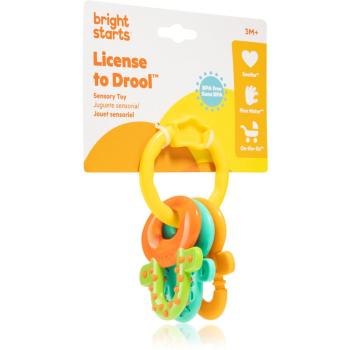Bright Starts Teether & Rattle jucărie zornăitoare pentru dentiție 3m+ 1 buc
