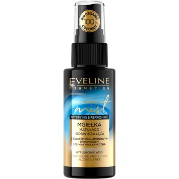 Eveline Cosmetics Long-Lasting Mist Spray revigorant facial 50 ml