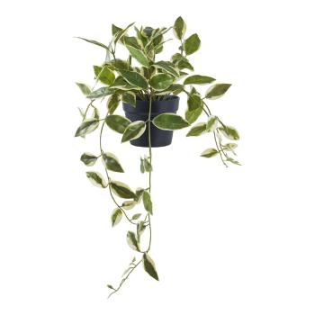 Plantă artificială (înălțime 33 cm) Hoya Carnosa – House Nordic