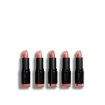 Revolution PRO Set de rujuri Nudes (Lipstick Collection) 5 x 3,2 g