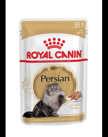 ROYAL CANIN Persian Adult 24x85 g pateu pentru pisici persane adulte