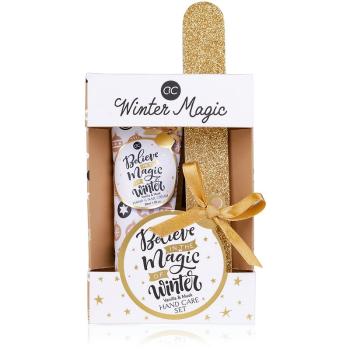 Accentra Believe in the Magic of Winter set cadou Vanilla & Musk (de maini)