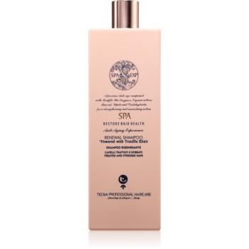 Tecna Spa Renewal Shampoo sampon pentru regenerare 500 ml