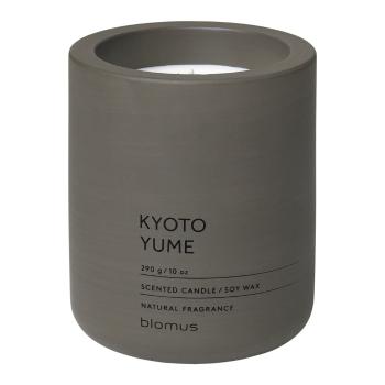 Lumânare parfumată din ceară de soia Blomus Fraga Kyoto Yume, 55 ore de ardere