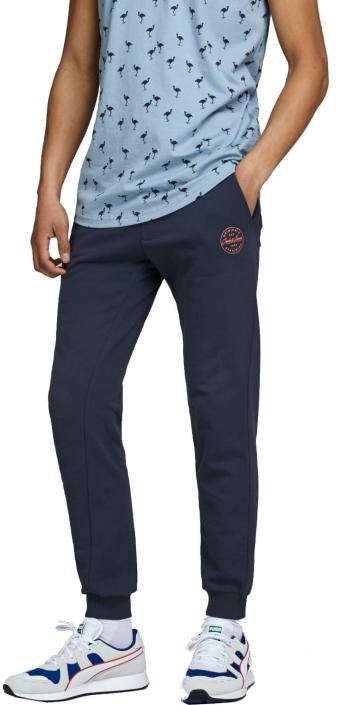 Jack&Jones Bărbați pantaloni JJIGORDON JJSHARK sudoripare PANTALONI VIY Noos Navy Blaze r M