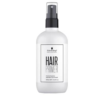 Schwarzkopf Professional Îngrijire înainte de colorarea părului Hair Primer (Porosity Equalizer) 250 ml