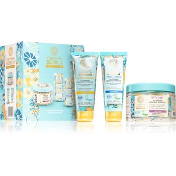 Natura Siberica Active Organics set cadou (pentru maini si picioare)