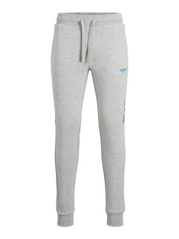 Jack&Jones Pantaloni de trening pentru bărbați JJIWILL 12190310Light Grey Melange M