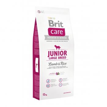 BRIT Care Junior Large Breed, L-XL, Miel cu Orez, hrană uscată câini junior, 12kg