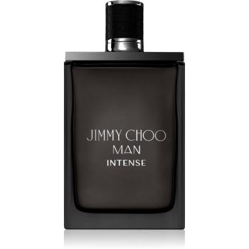 Jimmy Choo Man Intense Eau de Toilette pentru bărbați 100 ml