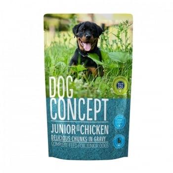 Dog Concept Plic Junior, 100 g