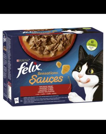 FELIX Sensations Sauce Hrana umeda cu diverse tipuri de carne in sos pentru pisici adulte/sterilizate 12x85g