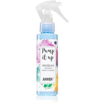 Anwen Pump it Up spray pentru volum 100 ml