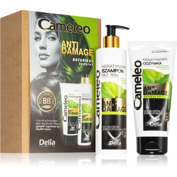 Delia Cosmetics Cameleo Anti Damage set cadou (pentru parul deteriorat si fragil)