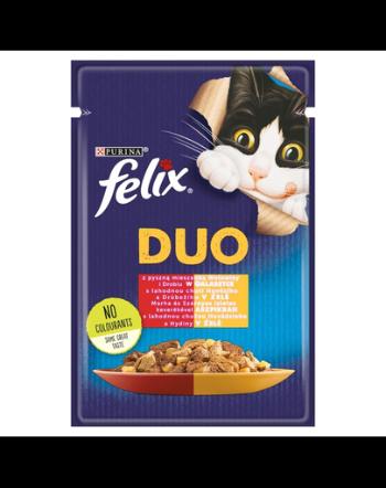 FELIX Duo Hrana umeda pentru pisici adulte si sterilizate 85 g