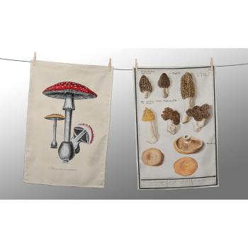 Set de 2 șervețele Tierra Bella Botanical Fungi, 47 x 65 cm