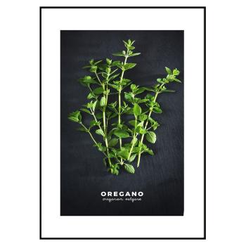 Poster cu ramă 50x70 cm Oregano – Styler