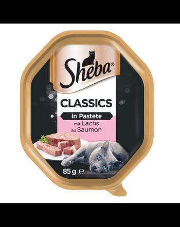 SHEBA Classics 85gx22 z Łososiem - mokra karma dla kotów w pasztecie + 6x50g Fresh &amp; Fine GRATIS