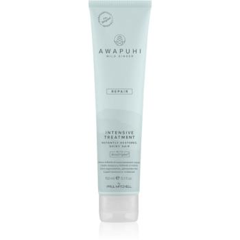 Paul Mitchell Awapuhi Wild Ginger Repair Intevsive Treatment ingrijire par pentru par deteriorat 150 ml