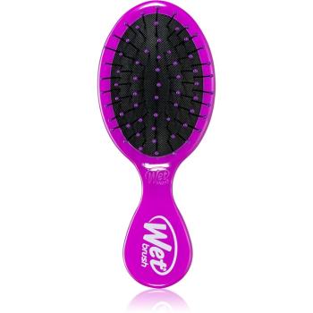 Wet Brush Mini perie de par calatorii Purple