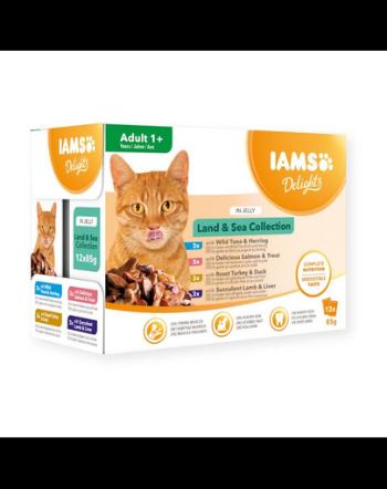 IAMS Cat Delights Adult All Breeds Land&amp;Sea In Jelly mix arome in jeleu, hrana pisici 12 x 85 g