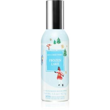 Bath & Body Works Frozen Lake spray pentru camera 42,5 g