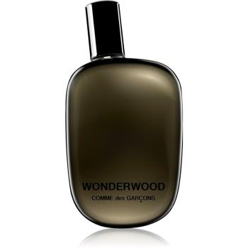 Comme des Garçons Wonderwood Eau de Parfum pentru bărbați 50 ml