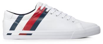 Tommy Hilfiger Teniși pentru bărbați FM0FM04003YBR 46