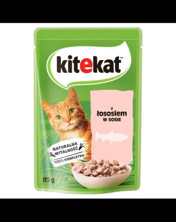 KITEKAT pliculete hrana pisici 28x85 g somon in sos