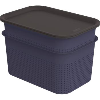 Cutii de depozitare albastru-închis 2 buc. din plastic cu capac 18,5x26,5x18 cm Brisen – Rotho