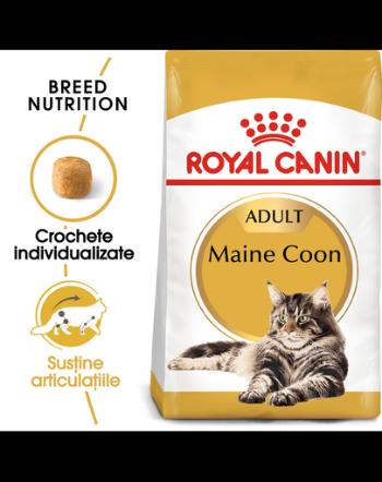 Royal Canin Maine Coon Hrană Uscată Pisică 10 kg + 2 kg gratis!
