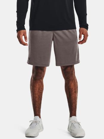 Under Armour UA Tech Mesh Pantaloni scurți Maro