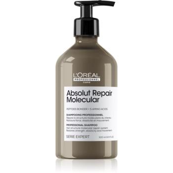 L’Oréal Professionnel Serie Expert Absolut Repair Molecular șampon fortifiant pentru păr deteriorat 500 ml