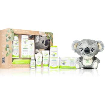 Alphanova Baby Bio set cadou (pentru nou-nascuti si copii)