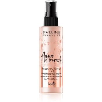 Eveline Cosmetics Glow & Go spray hidratant 4 in 1 01 Nude 110 ml
