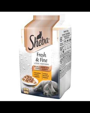 SHEBA selecție pasăre Fresh &amp; Fine 6x50g