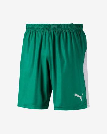 Puma Liga Pantaloni scurți Verde