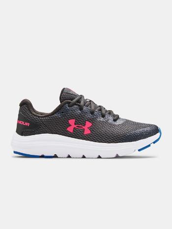 Under Armour GS Surge 2 Teniși pentru copii Gri