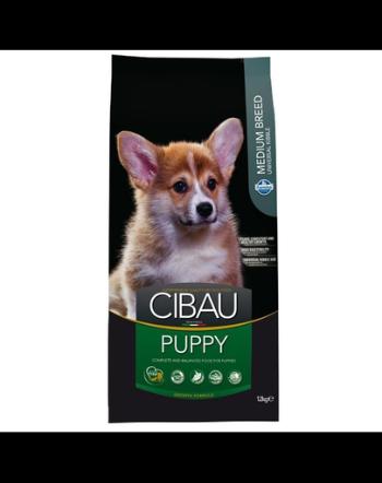 CIBAU Medium Puppy 12+2 kg GRATIS hrana catei si femele gestante rasa medie