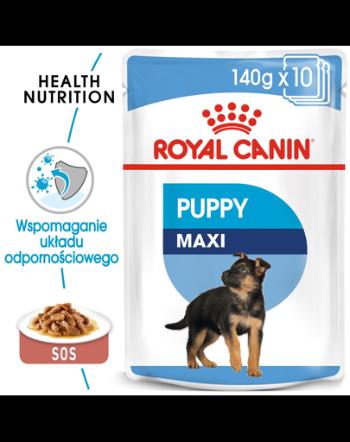 Royal Canin Maxi Puppy Hrană Umedă Câine 140 g