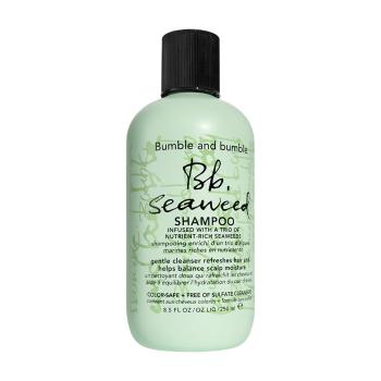 Bumble and bumble Șampon nutritiv Bb. Seaweed (Shampoo) 250 ml