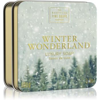 Scottish Fine Soaps Winter Wonderland Luxury Soap săpun de lux în placă Cinnamon, Dried Fruits & Vanilla 100 g