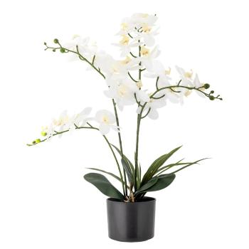 Plantă artificială (înălțime 84 cm) Orchid – Bloomingville