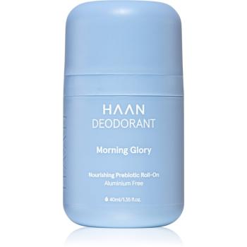 Haan Deodorant Morning Glory deodorant roll-on fara continut de aluminiu 40 ml