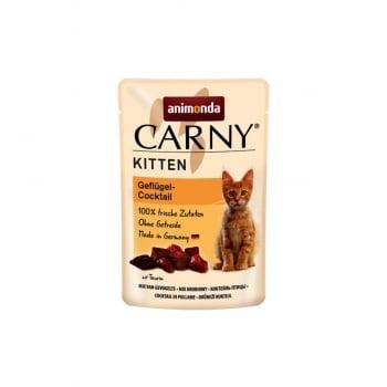 Carny Pisica Kitten Cocktail Pasare, 85 g