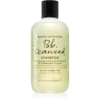 Bumble and bumble Seaweed Shampoo Sampon de curatare zi de zi. 250 ml