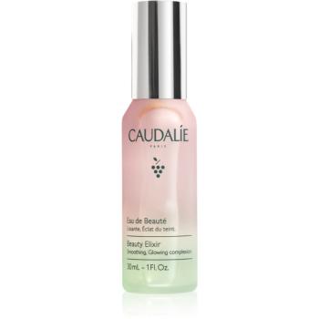 Caudalie Beauty Elixir ceață de înfrumusețare pentru o piele radianta 30 ml