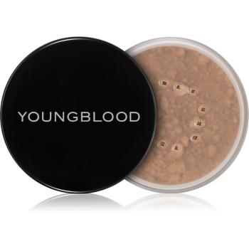 Youngblood Natural Loose Mineral Foundation pudra pentru make up cu minerale culoare Toast (Warm) 10 g