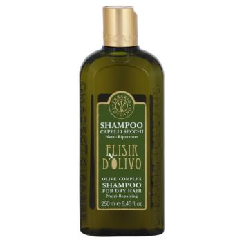 Erbario Toscano Elisir D'Olivo șampon de păr cu ulei de masline 250 ml