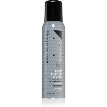 Diego dalla Palma Detoxifying Dry Shampoo șampon uscat 150 ml